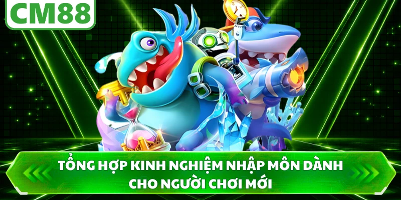 Tổng hợp kinh nghiệm nhập môn dành cho người chơi mới