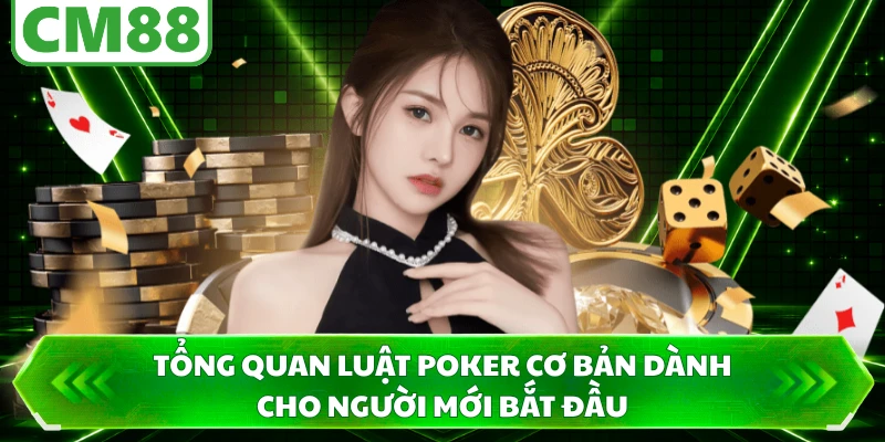 Tổng quan luật poker cơ bản dành cho người mới bắt đầu